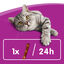 3 barritas Whiskas Sticks Snacks  Salmón para Gatos, , large indicador imagen numero 2